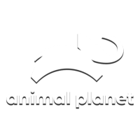 Animal Planet  HD