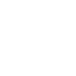 ANT1
