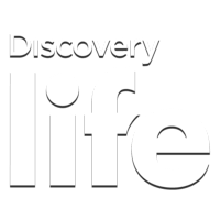 Discovery Life HD