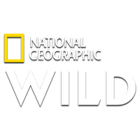 Nat Geo Wild HD HD